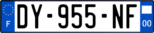 DY-955-NF