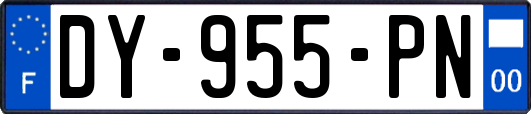 DY-955-PN