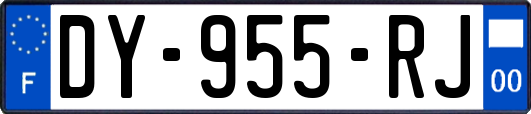 DY-955-RJ