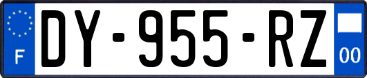 DY-955-RZ