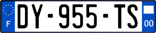 DY-955-TS