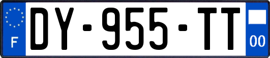 DY-955-TT