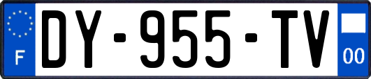 DY-955-TV