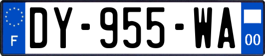 DY-955-WA