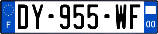 DY-955-WF