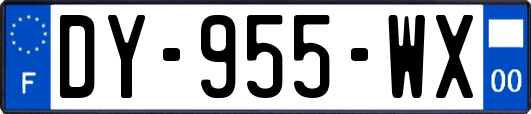 DY-955-WX