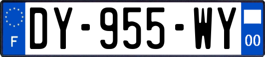 DY-955-WY