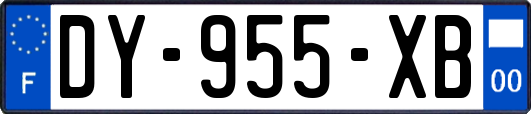 DY-955-XB