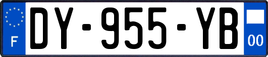 DY-955-YB