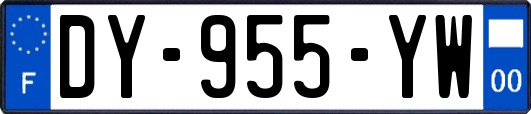 DY-955-YW