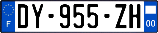 DY-955-ZH