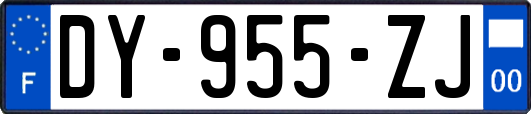 DY-955-ZJ