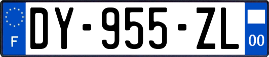 DY-955-ZL