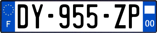 DY-955-ZP