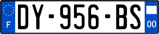 DY-956-BS
