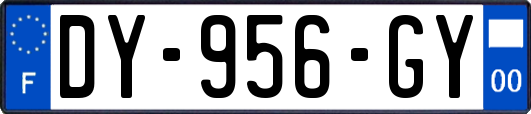 DY-956-GY