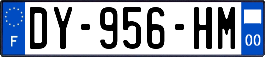 DY-956-HM