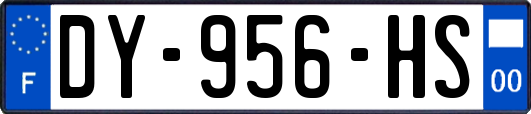 DY-956-HS