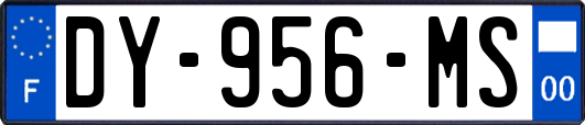 DY-956-MS