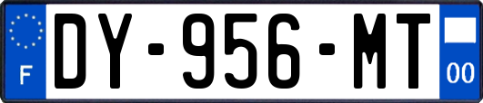 DY-956-MT