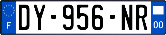 DY-956-NR