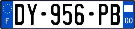 DY-956-PB