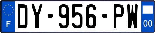DY-956-PW