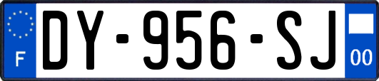 DY-956-SJ