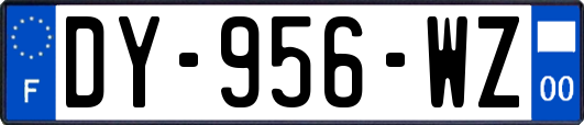 DY-956-WZ