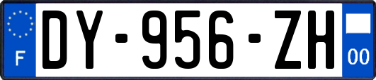 DY-956-ZH