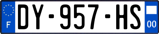 DY-957-HS