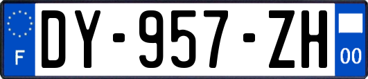 DY-957-ZH