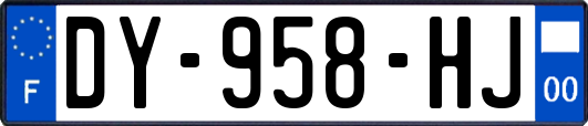 DY-958-HJ