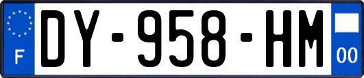 DY-958-HM