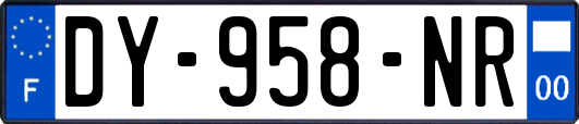 DY-958-NR