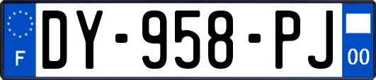 DY-958-PJ