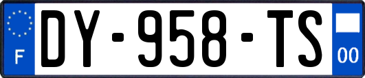 DY-958-TS