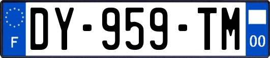 DY-959-TM