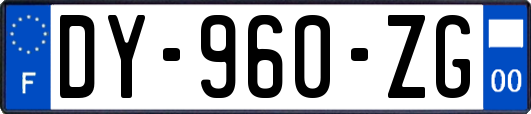 DY-960-ZG