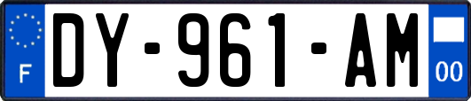 DY-961-AM