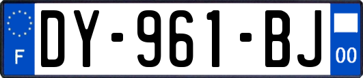 DY-961-BJ