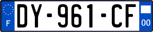 DY-961-CF