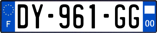 DY-961-GG