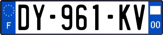 DY-961-KV