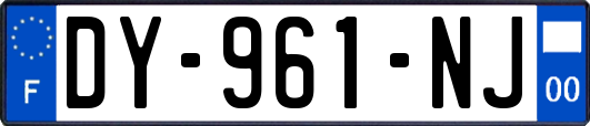 DY-961-NJ