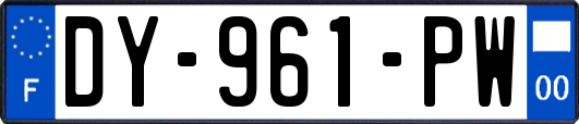 DY-961-PW