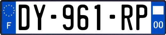 DY-961-RP