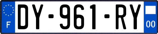 DY-961-RY