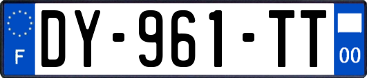 DY-961-TT