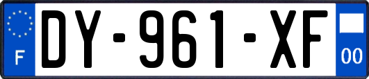 DY-961-XF